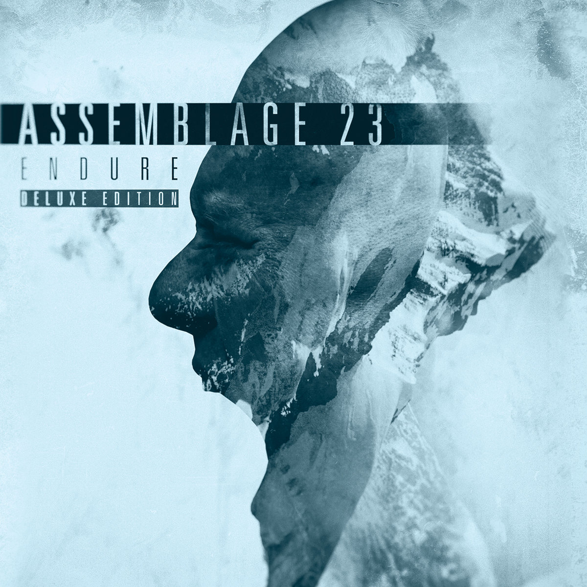 Assemblage 23 youtube